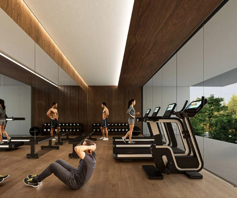 Project visualisation of the gym